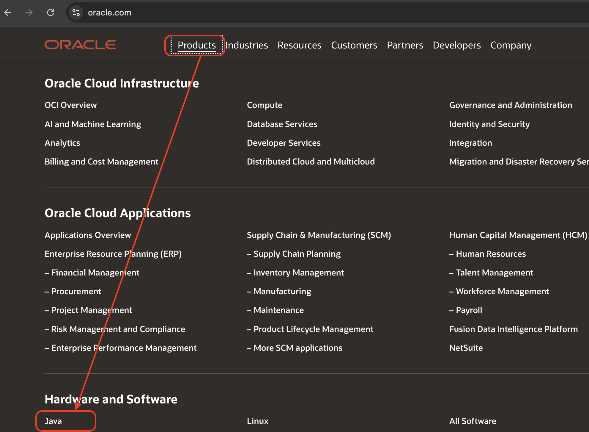 image-20241112235310670