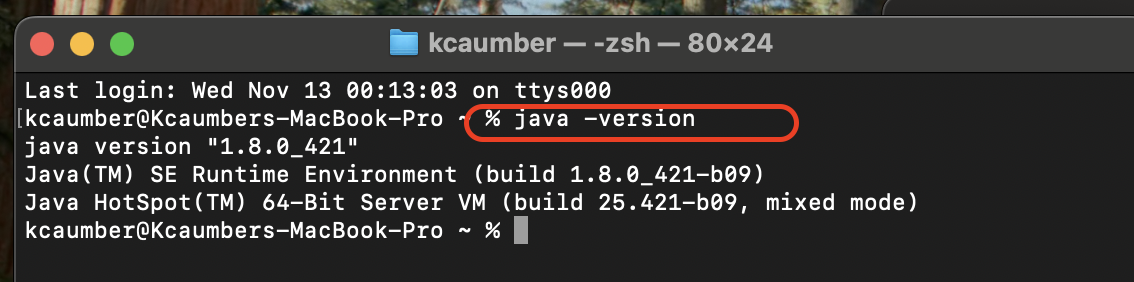 image-20241113003234016