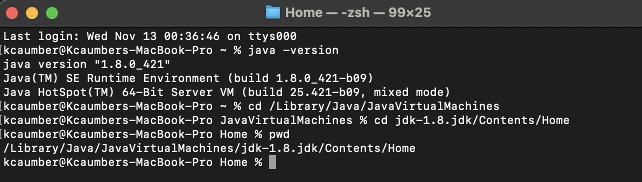 image-20241113004035214