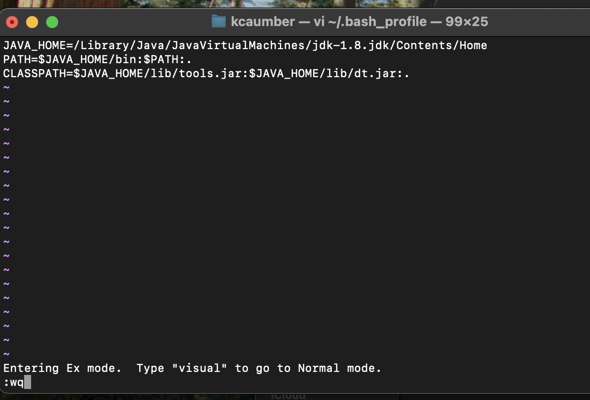 image-20241113005546000
